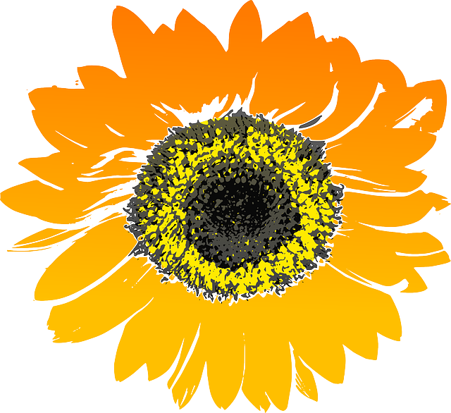 sunflower-147075_640.png