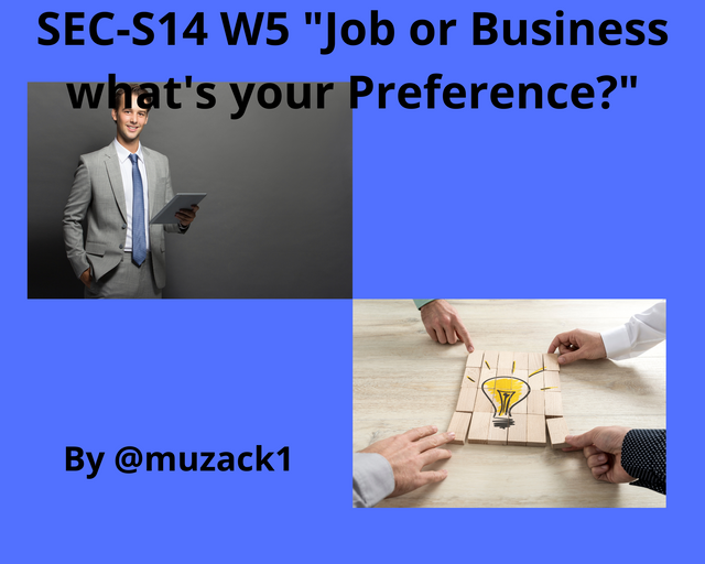 SEC-S14 W5 Job or Business what's your Preference.png