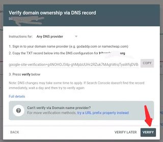 verify domain ownership via DNS record in Google Search Console.jpg