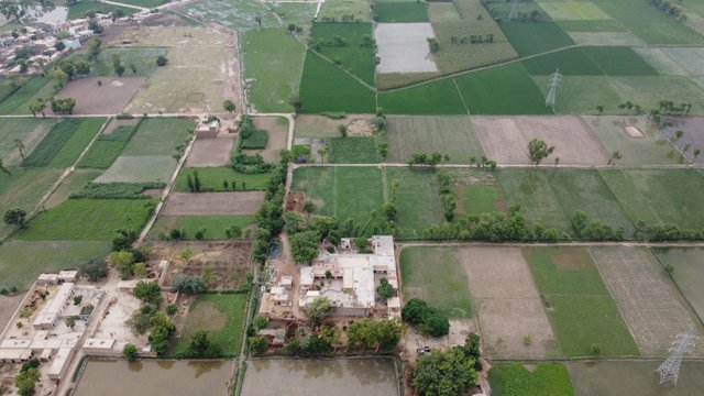 Photo_6554300_DJI_700_jpg_4146059_0_202161151936_photo_original.jpg