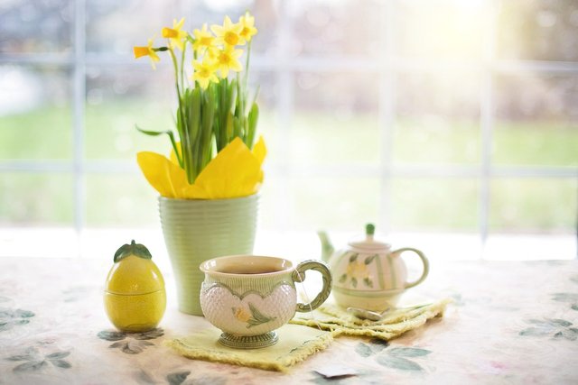 daffodils-1316127_1920.jpg