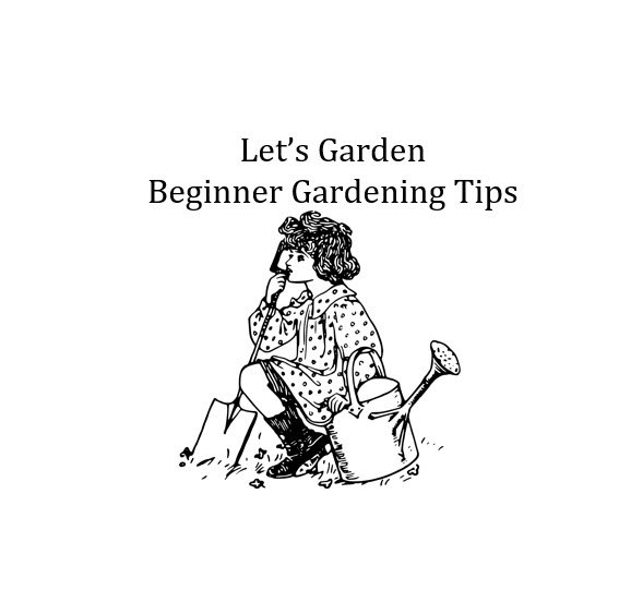 Lets Garden Beginner Gardening Tips cover.jpg