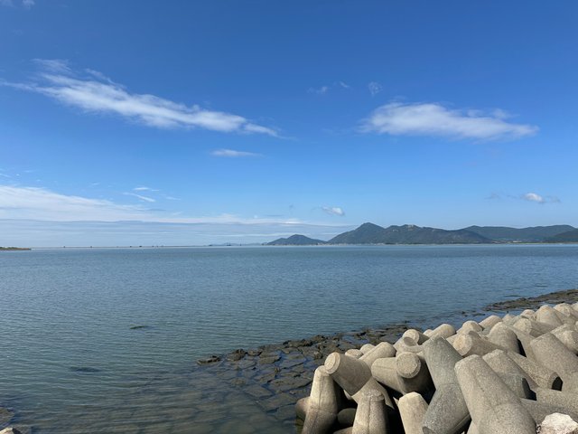 IMG_6143.jpeg