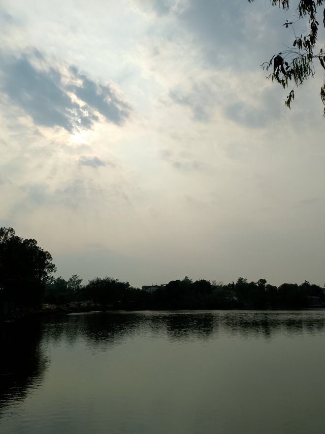 IMG_20250410_161439_911.jpg