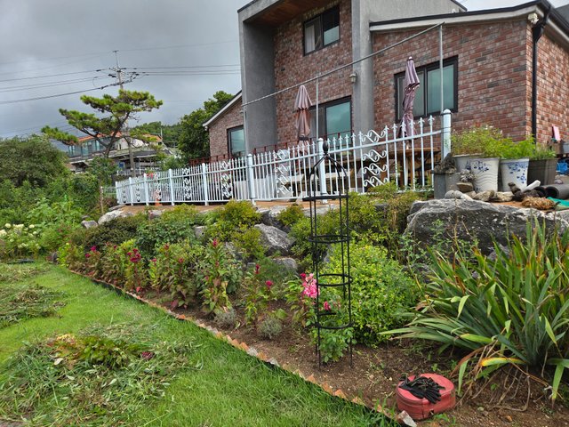 20250819_083338.jpg