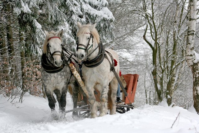 sleigh-ride-549727_1280.jpg