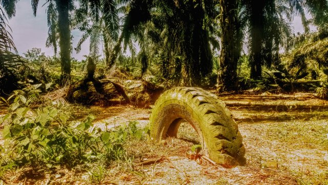 WhatsApp Image 2021-10-10 at 11.48.36 (1).jpeg