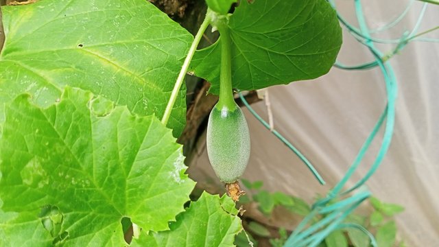 IMG20250527103226.jpg
