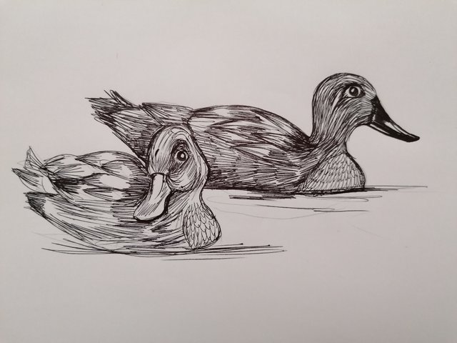 duck pen (6).jpg