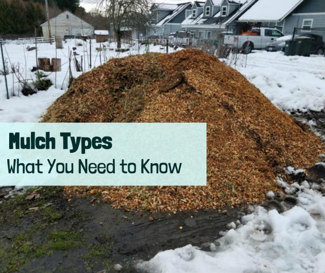 featured-types-of-mulch.jpg