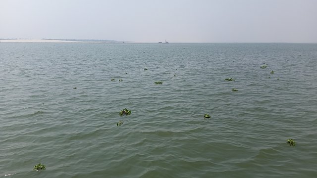 IMG_20250308_121443_6.jpg