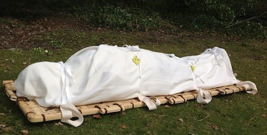 Shroud-with-primroses.jpg