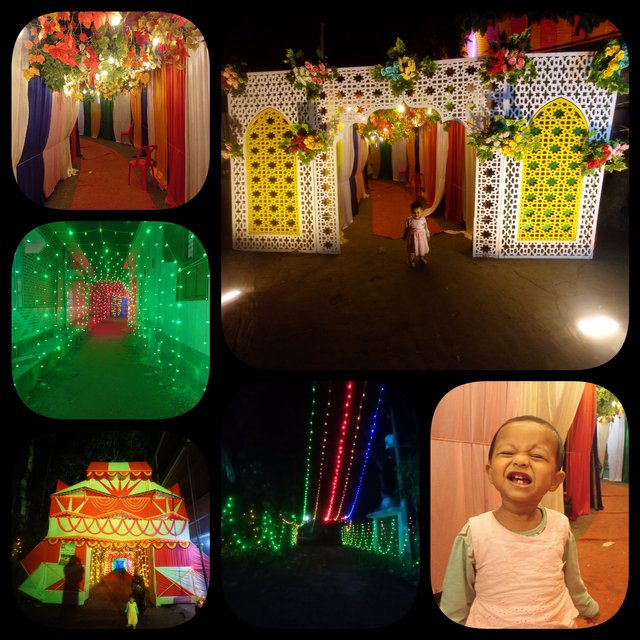 CollageMaker_202533184513519.jpg