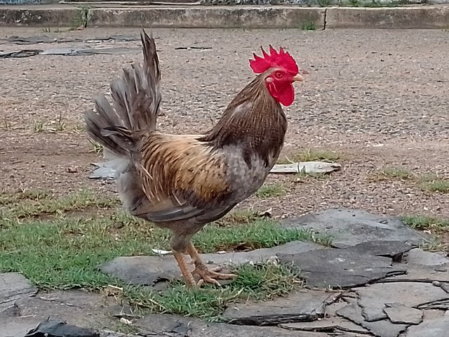 1000157009.jpg