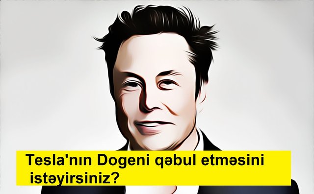 elon-musk-6222396_1920.jpg