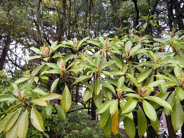 20250510_102150.jpg