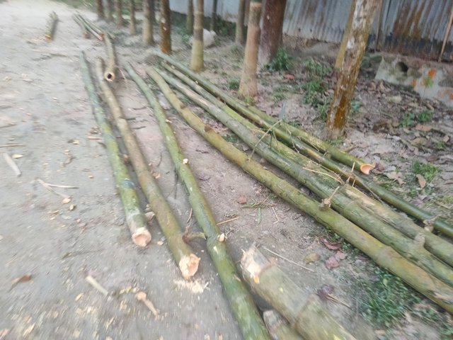 IMG20250228171256.jpg