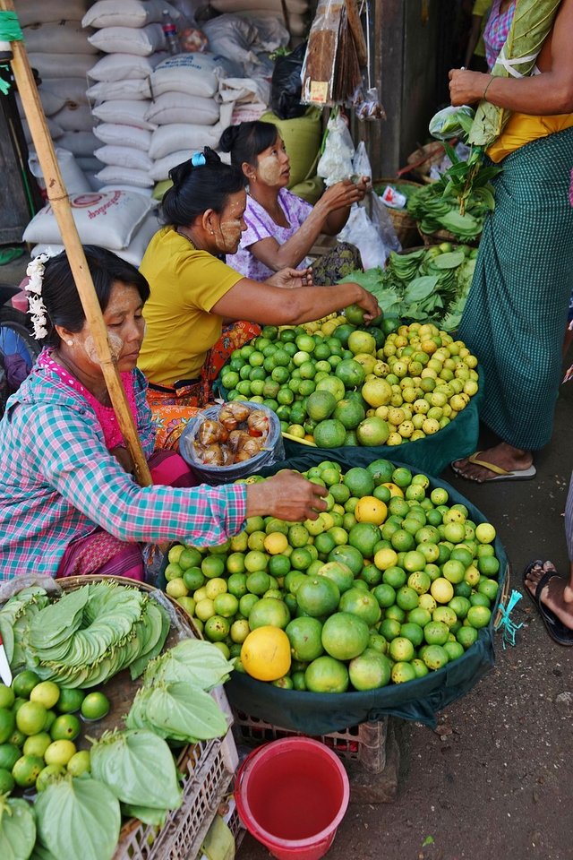 myanmar-3996480_1280.jpg