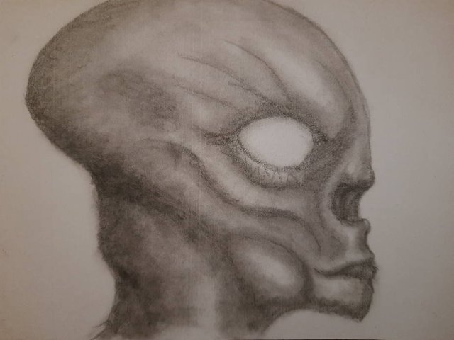 20250618_104131.jpg