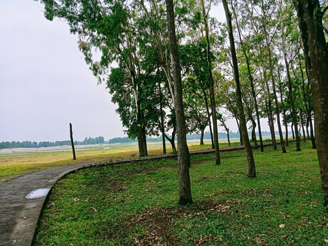 IMG20230613111831_01.jpg
