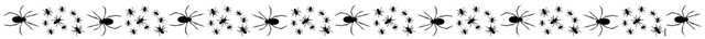 Spider-Linie.jpg