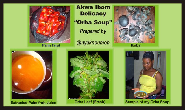 Stemmit Designs for Ibaba Soup.jpg