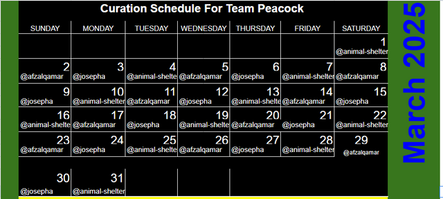 team peaccok.PNG