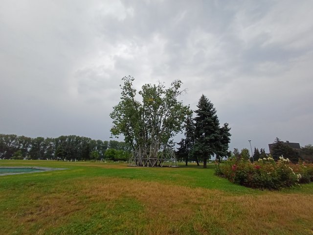 20250730_074956.jpg