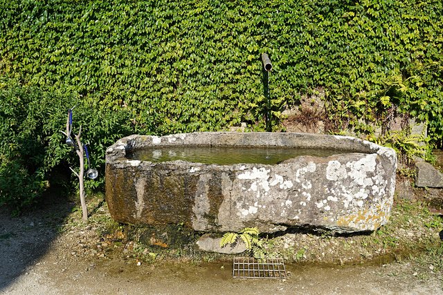 b-DSC08452.JPG