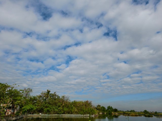 IMG_20250331_081631.jpg