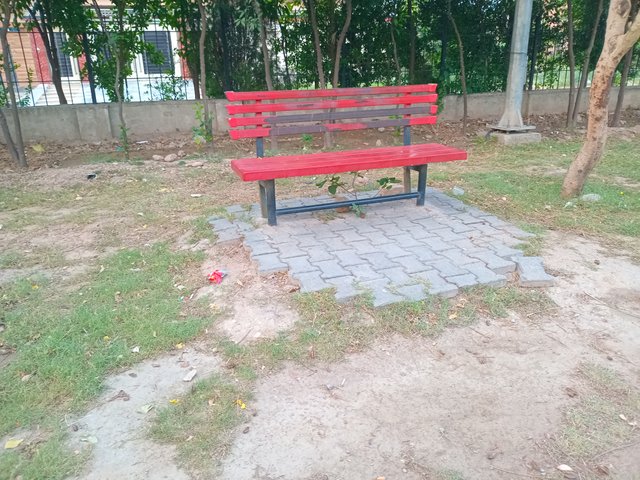 20250619_052745.jpg