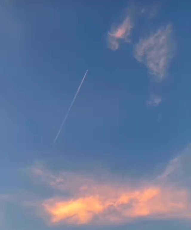 1750615943622.jpg