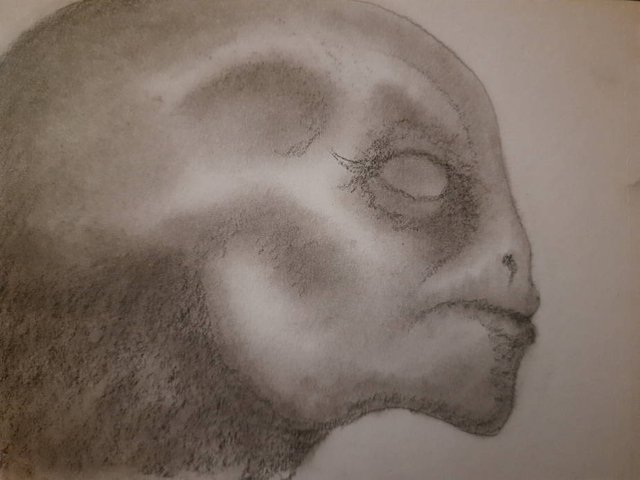 20250520_110050.jpg