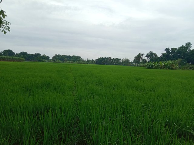 IMG_20250915_185054.jpg