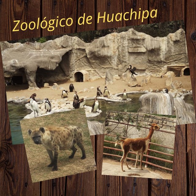 Parque zoológico de Huachipa, Perú.jpg