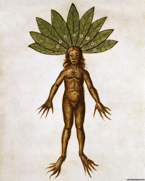 _84253841_mandrake-man-spl-976.jpg