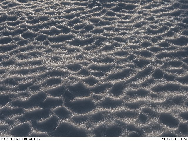 snow - by priscilla Hernandez (yidneth.com).jpg