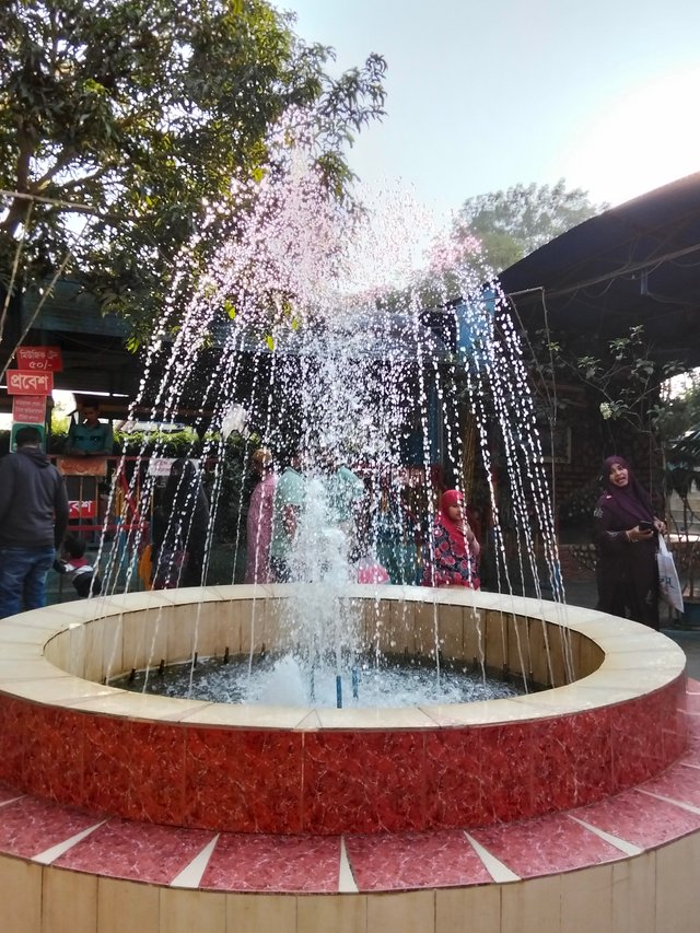 IMG20241227152619.jpg