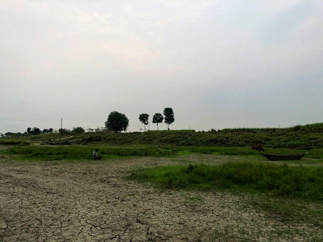 IMG_1969-01.jpeg