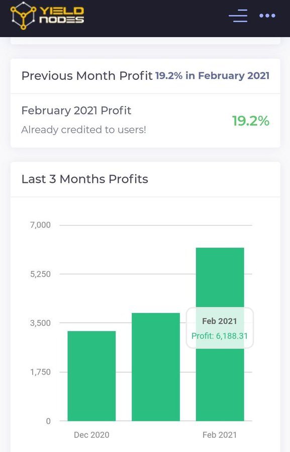 profit-feb-2021.jpg