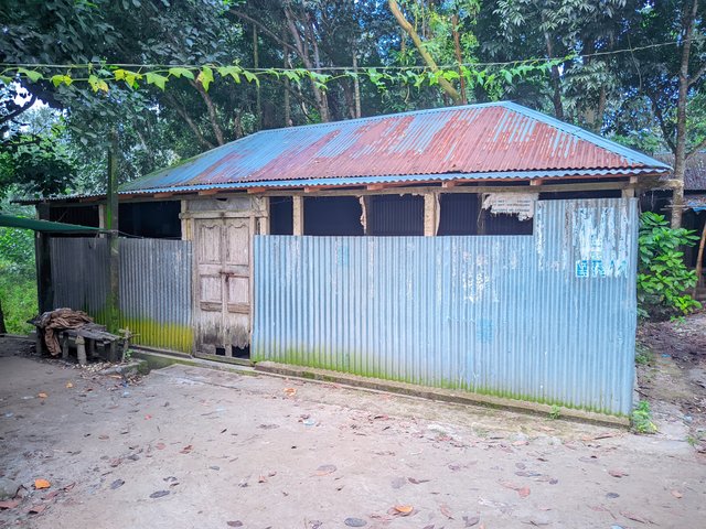 1000015780.jpg