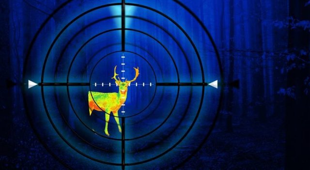 hunting-deer-in-forest-at-night-using-thermal-scope_funstarts33_Shutterstock-768x422.jpg