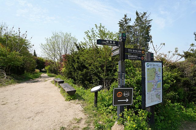 DSC08106.JPG