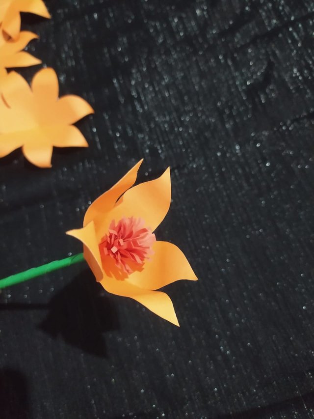 1000010315.jpg