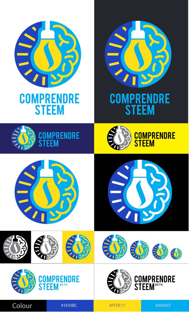 Master Design COMPRENDRE STEEM Logo-4.jpg