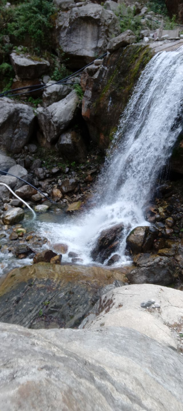 20250503_100134.jpg