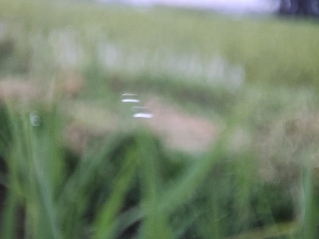 IMG_20250801_181948.jpg