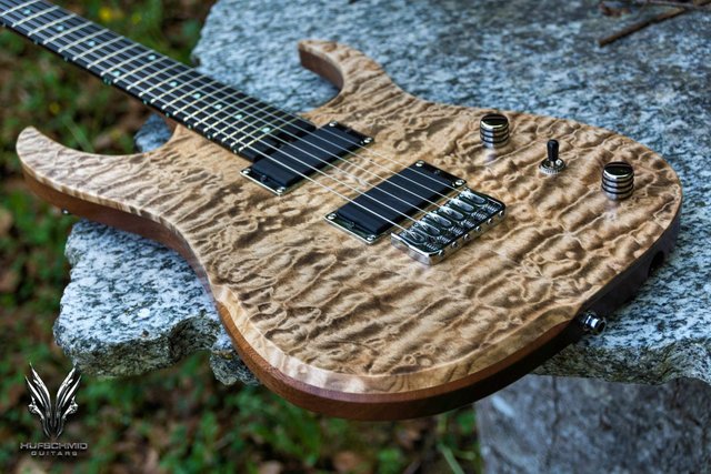 hufschmid_guitars (5).jpg