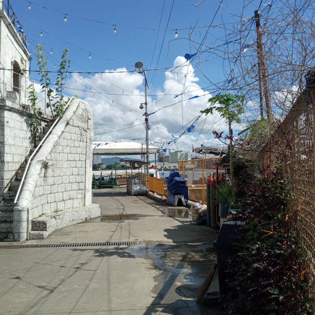20250619_091723.jpg