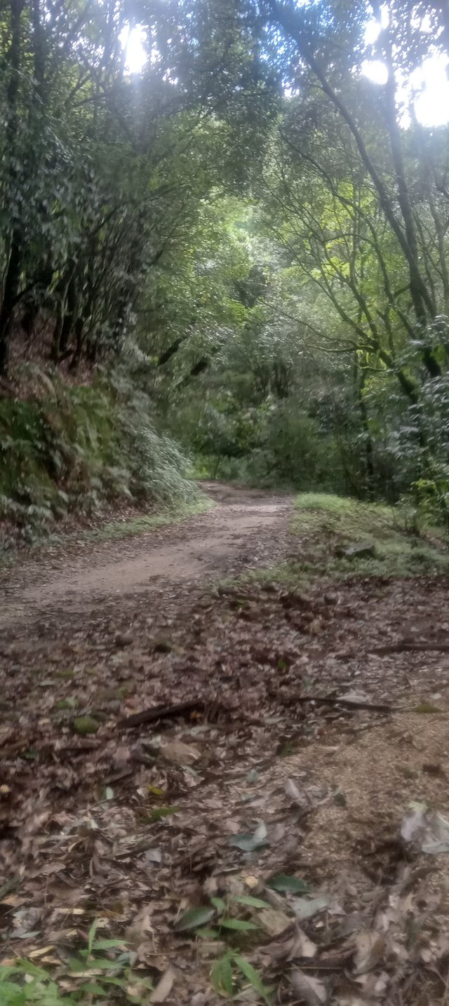20250819_150416.jpg